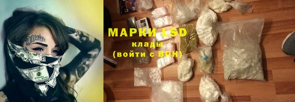 PSILOCYBIN Сосновый Бор
